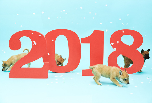 2018 2.jpg