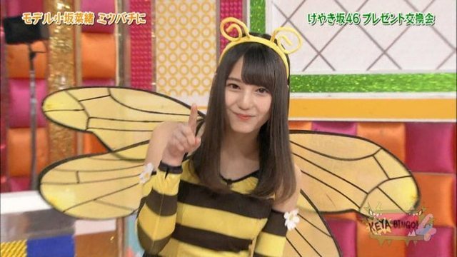 おさかなちゃん 5.jpg