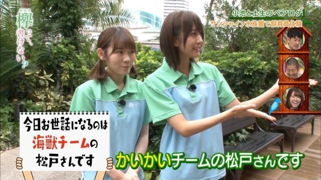 かいかいチームの松戸さんです.jpg