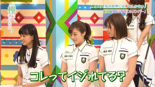 葵ちゃん 1.jpg